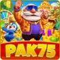 Pak75 Game